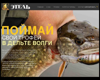 Website project